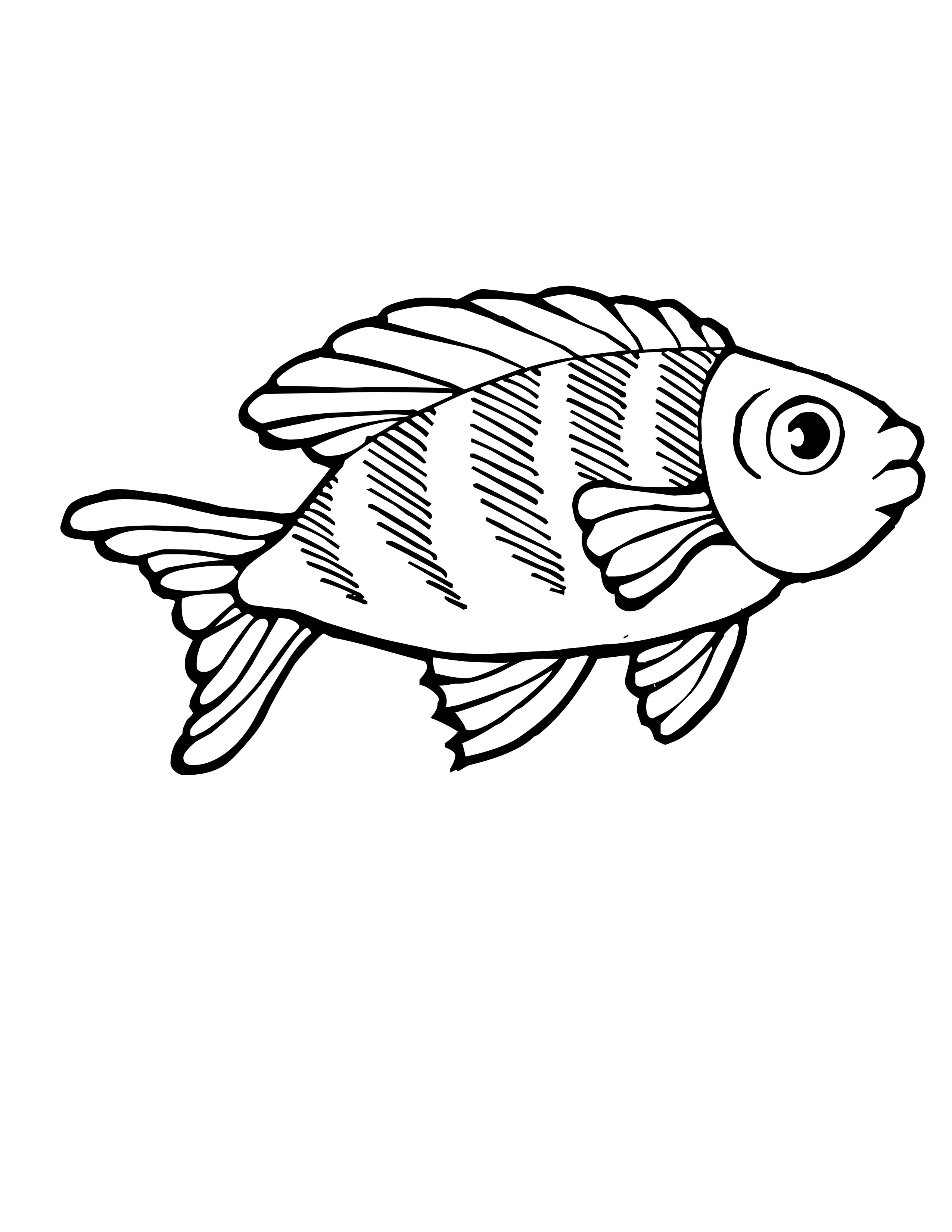 Marine Animal Coloring Pages