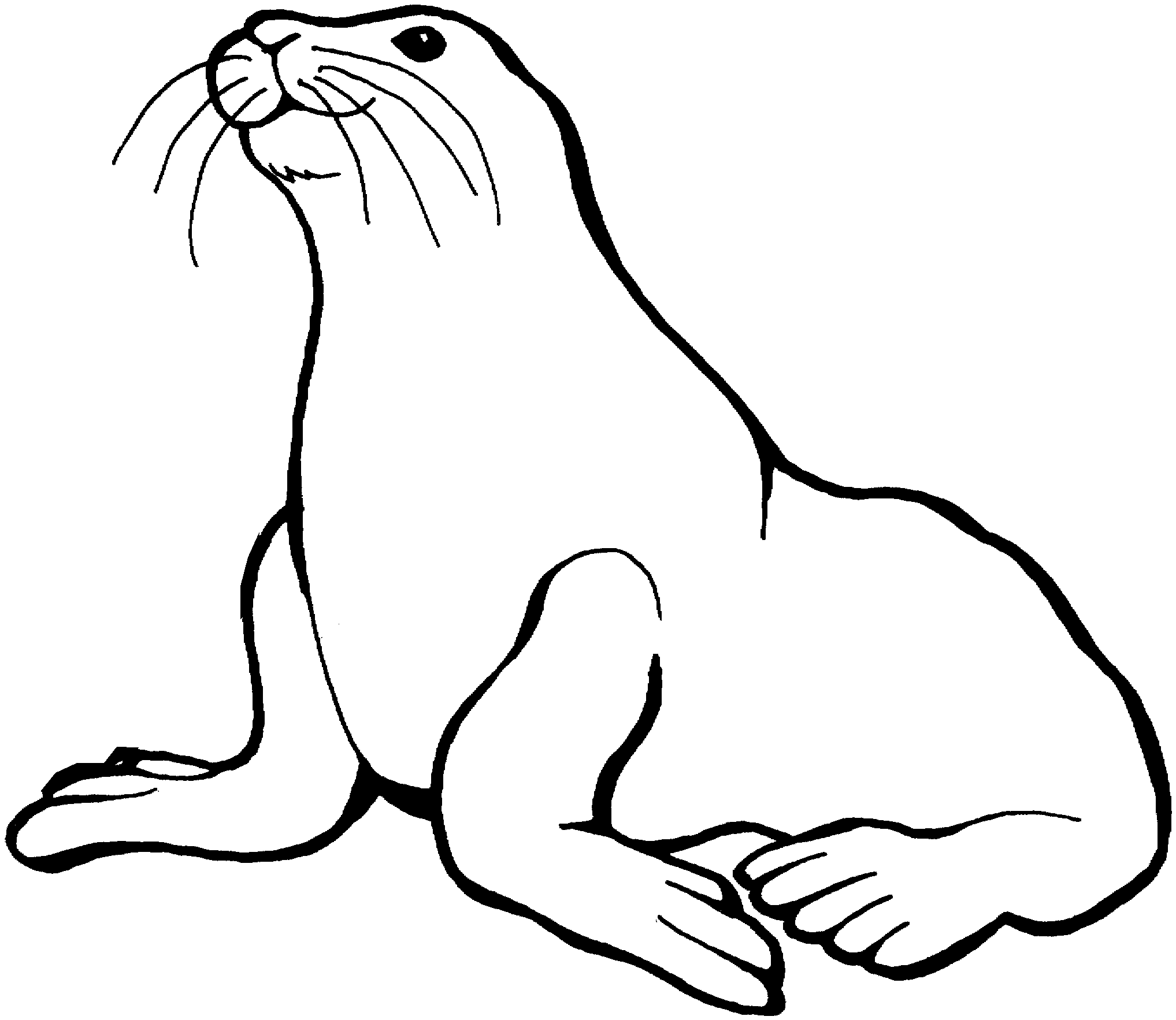 Marine Animal Coloring Pages