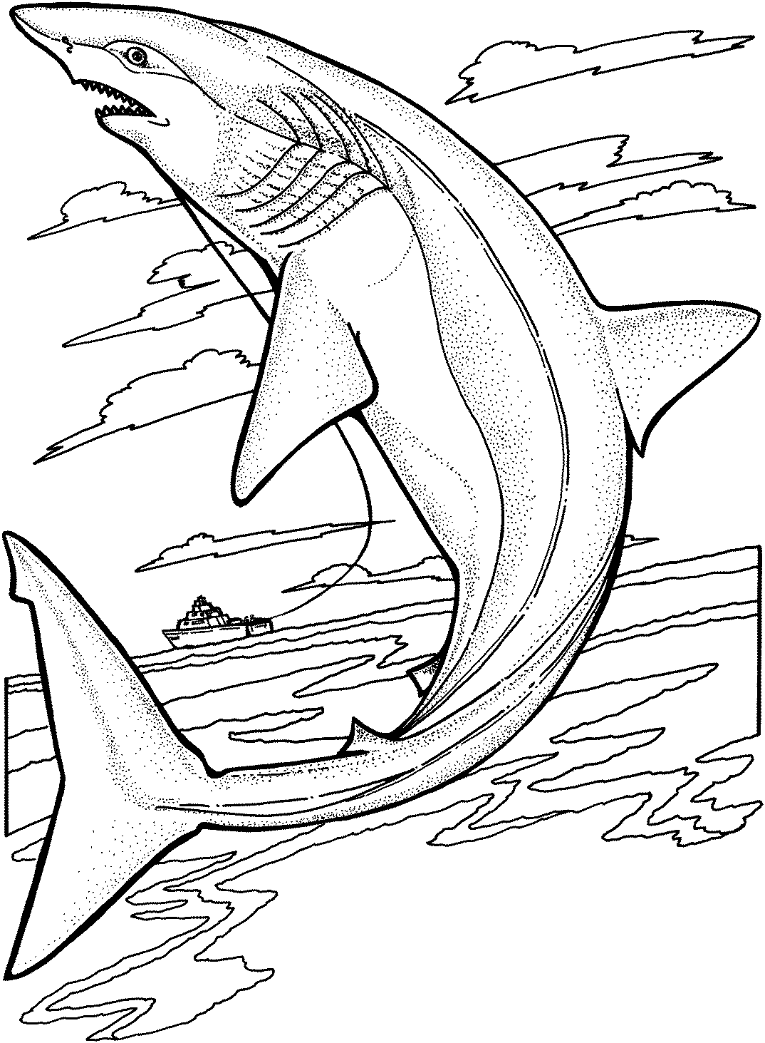 Marine Animal Coloring Pages