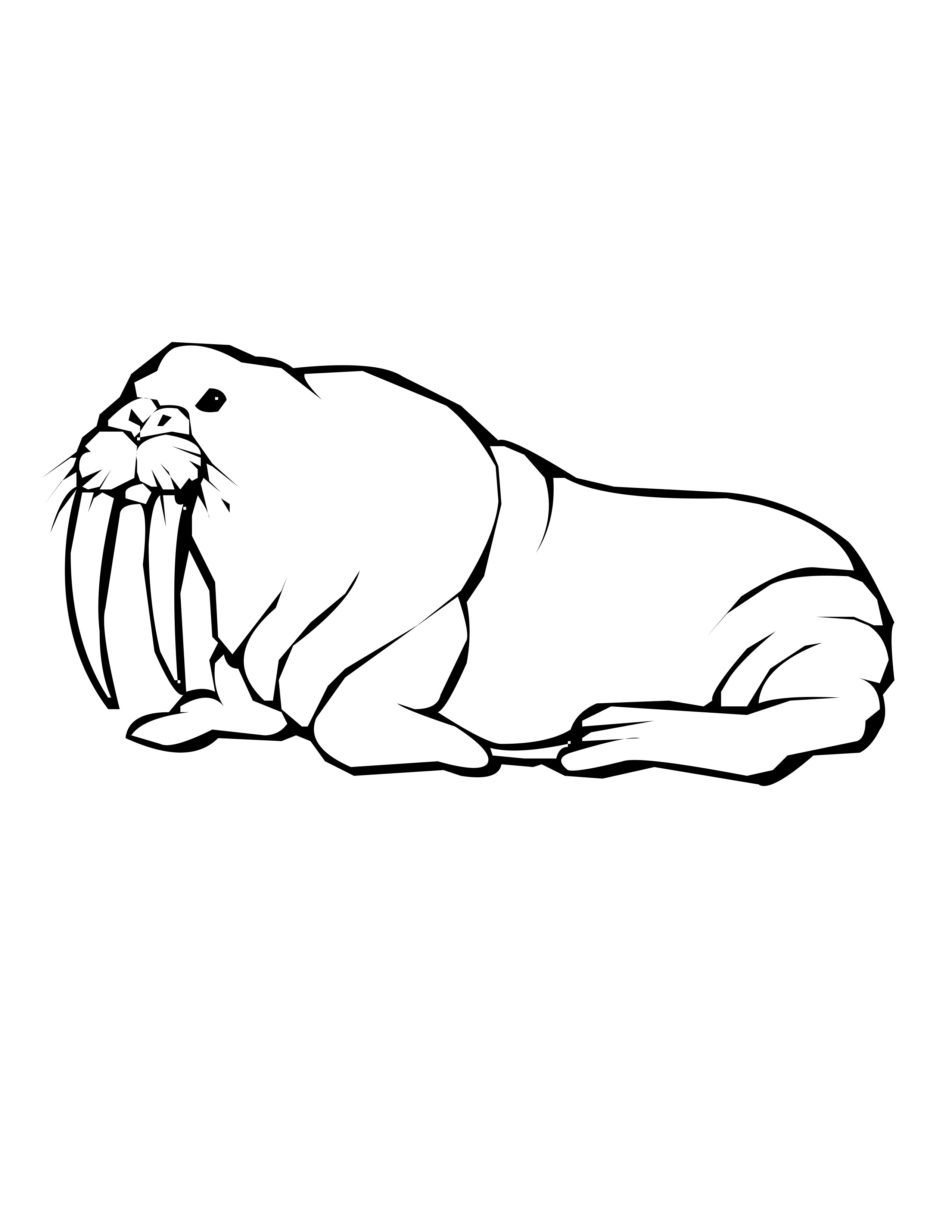 walrus coloring pages - photo #23